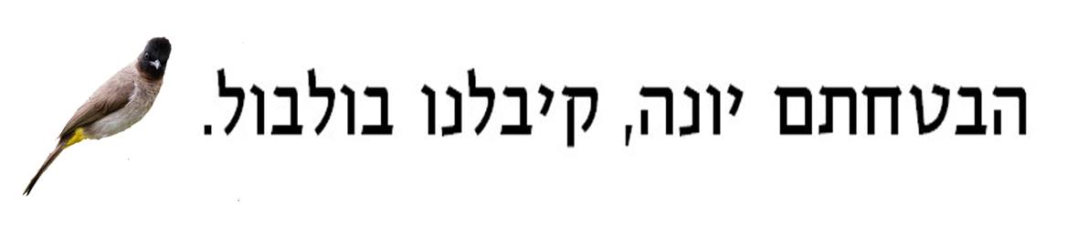 פוסט בפייסבוק: הבטחתם יונה - קיבלתם בולבול